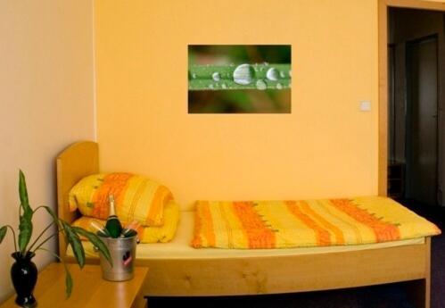 Penzion U Chmelu Prostějov Extérieur photo